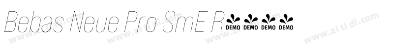 Bebas Neue Pro SmE R字体转换